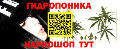 круглые Гусев