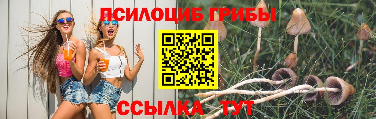 Галлюциногенные грибы ЛСД  Вход с VPN  Муравленко  Псилоцибиновые грибы Cubensis 